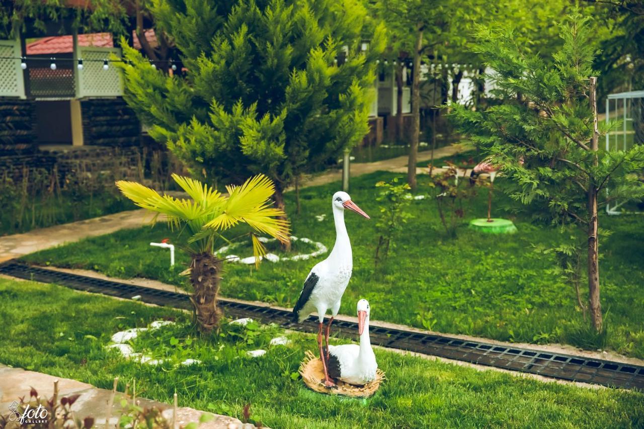 Su Sesi Hotel&Restorant Goygol ภายนอก รูปภาพ